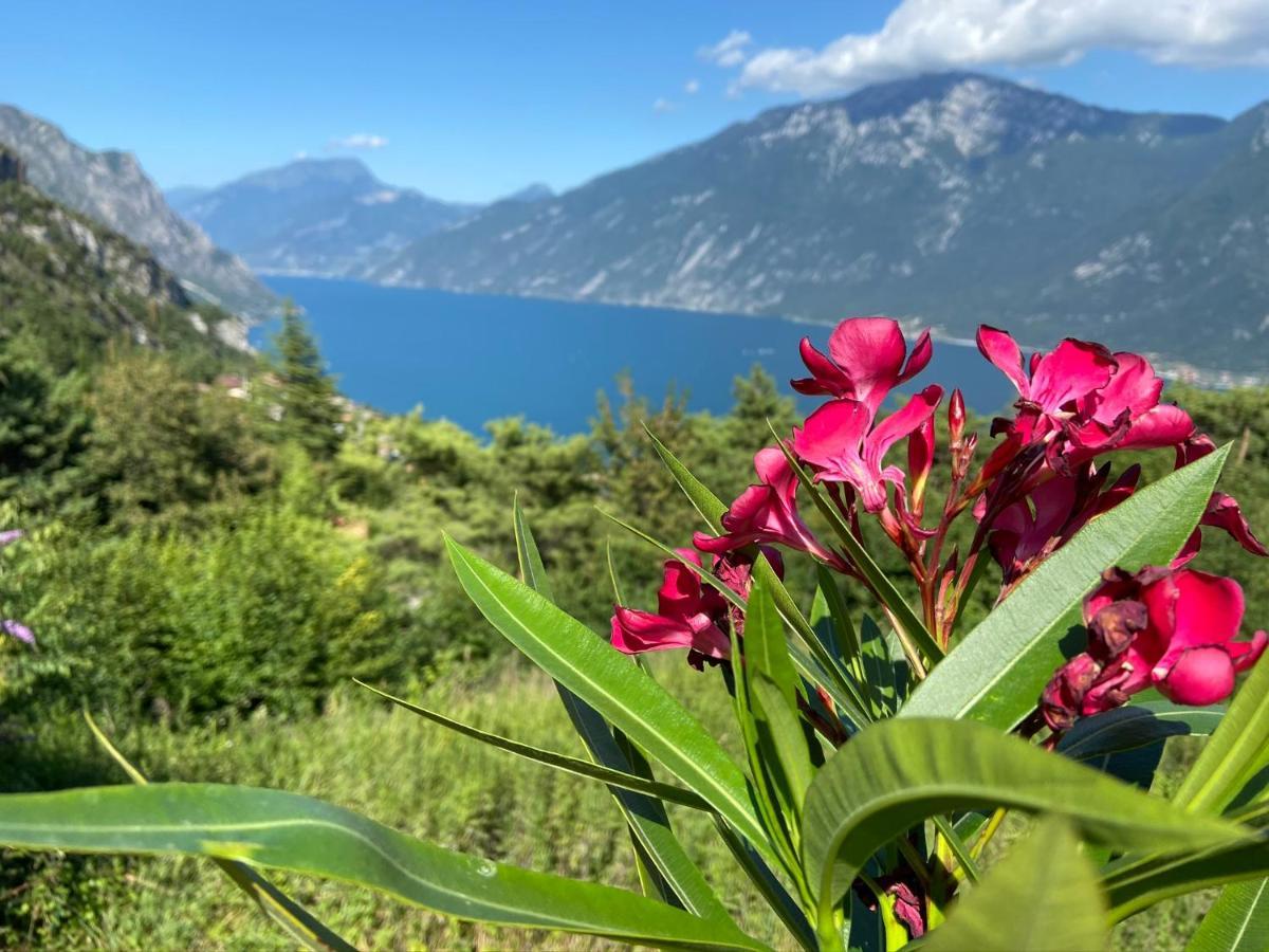 Апартаменты Un Balcone Sul Garda Tremosine Экстерьер фото